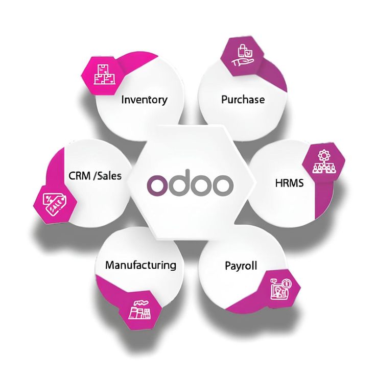 Odoo ERP Services, Support & Customization | VeeVee Infotech